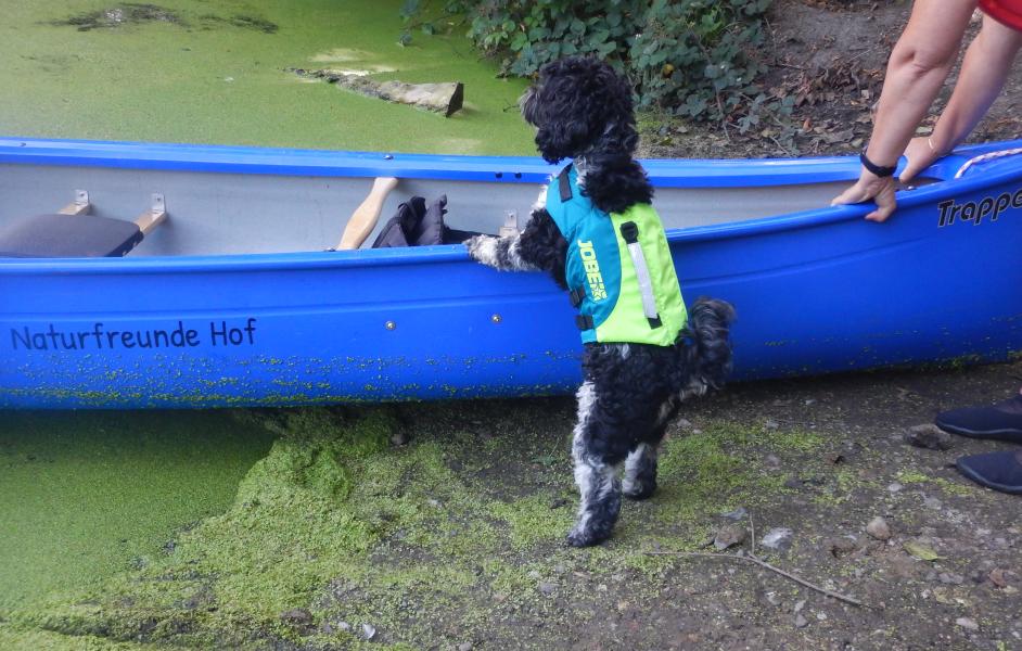 Heily will ins Boot