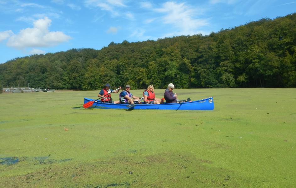 Rosensee mit Pflanzen im Wasser