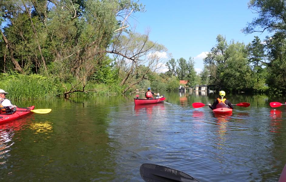 Paddler auf der Saale bei Rudolstadt Thüringen