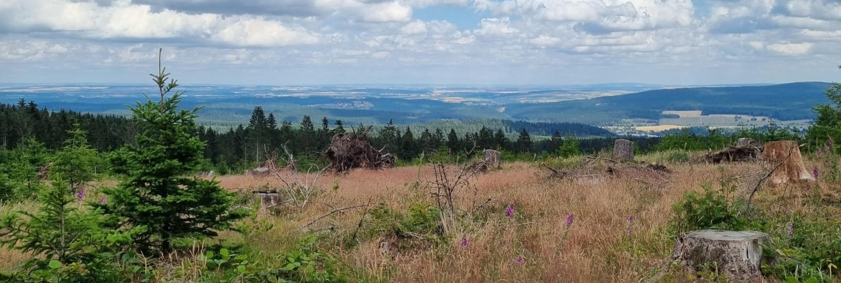 Auf dem Rennsteig